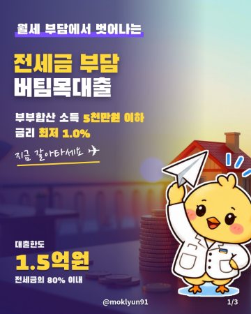 카드뉴스 표지